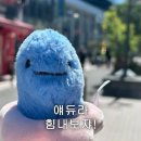 대주빌딩 | 명지 운동 처음이라면? 전사킥복싱 다녀온 솔직 후기