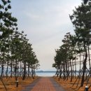 공차안동옥동점