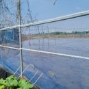 유인농장 이미지