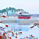 한달여만에 30만명 찾은 대전호수공원…호수 면적 1등은 세종호수공원 이미지