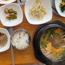 고산흑염소 이미지