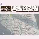 춘천 백령안경원 안경 맞춤 후기 – 강원대 대표안경점으로 오랜 시간 사랑받는 이유