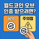 스테빌리움 | 부산에서 월드코인 오브 인증 받으려면? 혜택과 주의점까지 한 눈에!