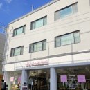 (주)브렌디 | 성수 쇼핑 브랜드 릴리마를린 플래그십스토어 매장 후기