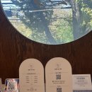 플랜비 | 남천동 플랜비 에스테틱 여드름 진정관리 후기