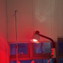 위드유이비인후과의원 | 1년 간의 알레르기 치료 후기 (양재 위드유의원)