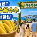 용화면 면민회관 화장실 | 여수 옥수수축제 오늘 가도 될까? 일정·주차·구매 팁까지 한 번에 정리