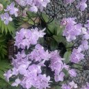 용담한의원 | 도쿄 일상+중국 난닝 여행후기(2026년3월)+시안&amp;뤄양(낙양) 여행준비(2026년5월)