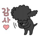 모모애견풀빌라 이미지