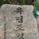유림조경 이미지