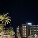 [여행/제주도] 제주 해비치호텔 3박4일 후기(섬모라 조식 3일, 공항셔틀 예약)