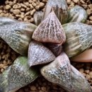 호반농장 이미지