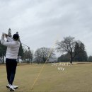 강남골프 이미지