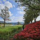 신안공업사 이미지