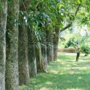 메세지수학전문학원 이미지