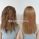 티나 헤어 이미지