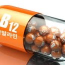 B12-1 이미지