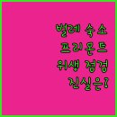 지성모터스 | 프리몬트 &#39;벌레&#39; 논란 숙소, 진실은? 숙소 위생 상태 집중 점검