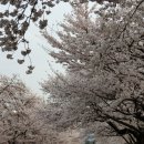 복성경로당 이미지