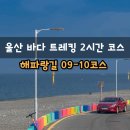 울산 가볼만한곳 2시간 바다 트레킹 초보 코스 강동몽돌해변 판지항 해파랑길 09-10코스