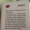 경제 책 추천 할미언니 돈 공부를 시작하고 인생의 불안이 사라졌다