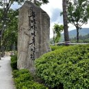 용인자연휴양림 야영장 이미지