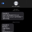 엘리샤 네일 - 사하구 | 엘리샤 네일