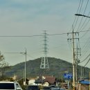 대부도 여행(당일치기) 카페 트리