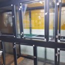 쁘니애견 이미지