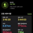블루문게스트하우스