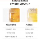 온푸(ONFU) | 과일도시락 사무실간식,답례품,조공선물로 추천하는 온푸(내돈내산)