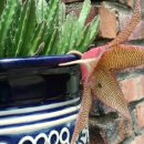 종명랜드 이미지