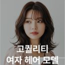 고퀄리티 AI헤어모델 플랫폼, 9,900원부터 에이미미