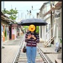 서천가축병원 | 99주 차 주간일기