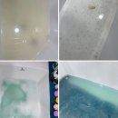 애견미용실 또이쁜댕 | 인천애견미용실 [ 남동구애견미용실 ] 만수동 애견미용실 또이쁜댕