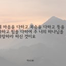 사랑포도원