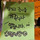 신사대화로 | [신사역 룸 맛집] 소중한 사람과 조용히 대화하기 좋은 참치 오마카세, 골드참치