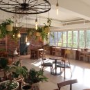 올리데이 이미지