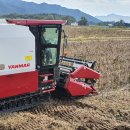 봉황축산3 이미지