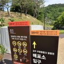 부천키움어린이집 | [공주여행]공주 무령왕릉과 왕릉원 / 유네스코 세계유산 무령왕릉/ 공주 베이커리 밤마을
