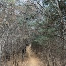 [곰산] 초보등산코스, 양평 여행, 트레킹코스 : 이름처럼 귀여웠던 산