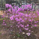 늠내길5코스 정왕둘레길 | 가볍게 산책하기 좋은 시흥 늠내길 제5코스 정왕 둘레길 &#34;함줄도시농업공원&#34;