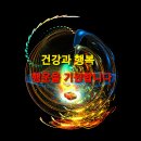 트로트 모음 40곡 광고없는 💖 신나는 트로트 메들리 2시간 누구나 좋아하는 최고의 인기트로트 40곡 히트곡 메들리 이미지