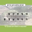 안일사앞 이미지