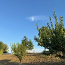 양산신-2025 이미지