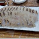 양도마을회관 Daum카페