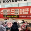 홈플러스 내당점 폐점 고별전 정리세일 후기 아디다스 득템