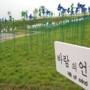 양평투어리즘 | 새로운 여행 트렌드 3/5] 경기도 근교 마이크로 투어리즘 완벽 가이드: 1-2시간 거리에서 찾는 특별한...