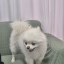 강릉퍼펙트샵