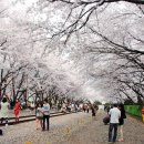 더 머물다 이미지